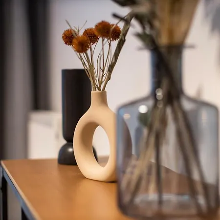 Design 2r Neustadt - Garten - Elbnahe - Airport * Dresden