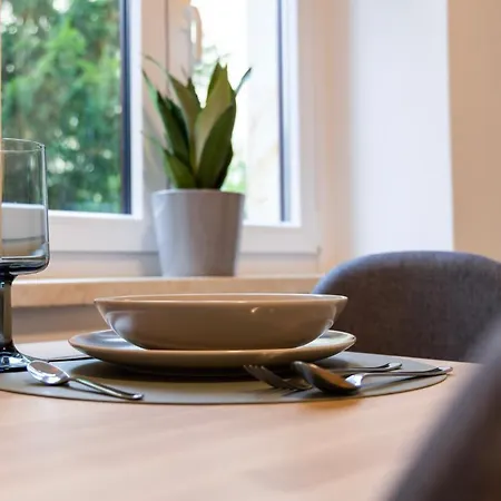 Design 2r Neustadt - Garten - Elbnahe - Airport Appartement